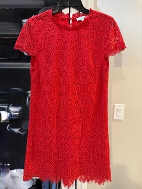 Francesca's Collections Red Lace Mini Dress